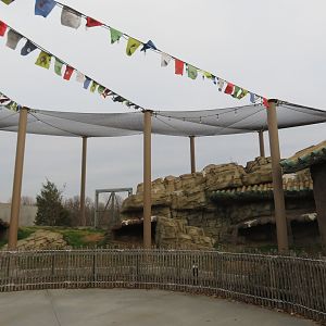 Snow Leopard Exhibit