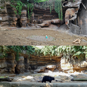 May. 2022 - Future Black Bear Exhibit / Former Spectacled Bear Exhibit