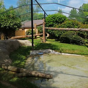 Serval exhibit