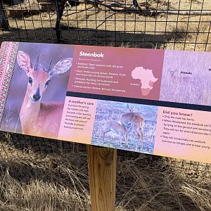 Steenbok Signage