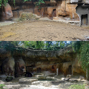 May. 2022 - Future North American Aviary / Former Black Bear Exhibit Comparison