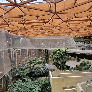 Sunda islands, 2nd floor view