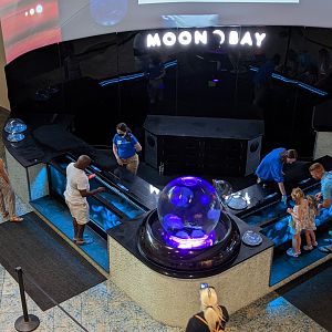 Moon jelly touch tank