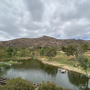 African Forest Field Enclosure