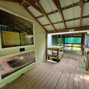 Kentucky Reptile Zoo - Cobras