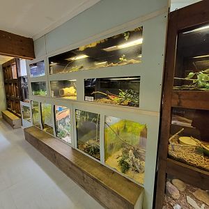 Kentucky Reptile Zoo - Tropics building