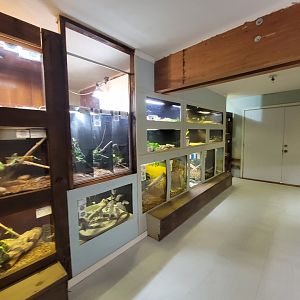 Kentucky Reptile Zoo - Tropics building