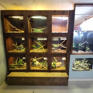 Kentucky Reptile Zoo - Tropics building