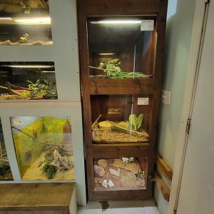 Kentucky Reptile Zoo - Tropics building, door to back area