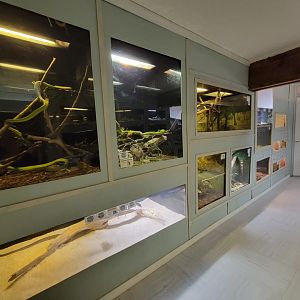 Kentucky Reptile Zoo - Tropics building