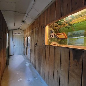 Kentucky Reptile Zoo - Giants building