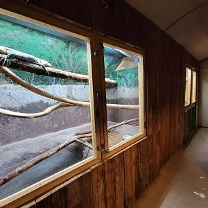 Kentucky Reptile Zoo - Giants building, caiman lizard