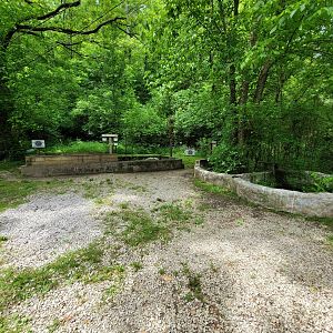Kentucky Reptile Zoo - Turtles