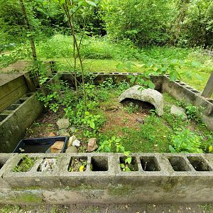 Kentucky Reptile Zoo - Gopher tortoise, eastern box turtle