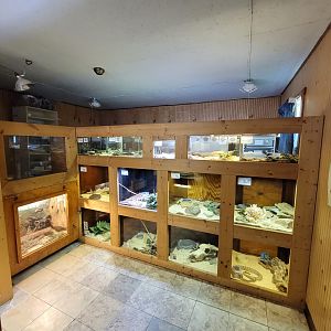 Kentucky Reptile Zoo - North America building