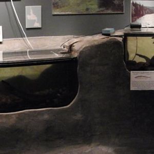 Small tanks panorama