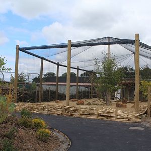 New peafowl aviary 27th May 2022