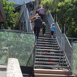 Temporary access to Realm of the Red Ape 27th May 2022