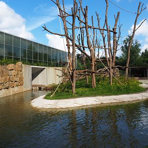 Orangutan project construction, First large island, 2022-05-28