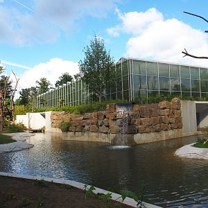 Orangutan project construction, Asian greenhouse and moat between islands, 2022-05-28