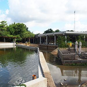 Orangutan project construction, Moats between island and restaurant, 2022-05-28