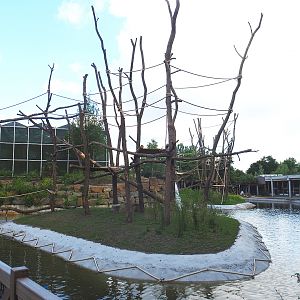 Orangutan project construction, First smaller island, 2022-05-28