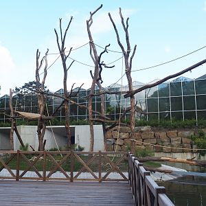 Orangutan project construction, Second smaller island and visitor area, 2022-05-28