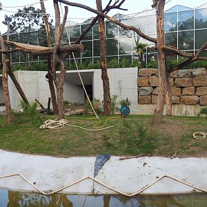 Orangutan project construction, Second smaller island, 2022-05-28