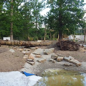 Orangutan project construction, Fifth island, not connected to the Asian greenhouse, 2022-05-28