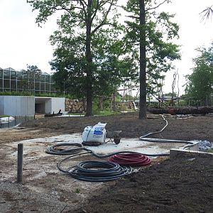 Orangutan project construction, Fifth island, not connected to the Asian greenhouse, 2022-05-28