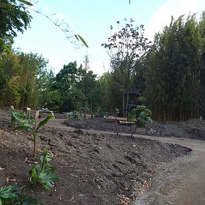 Orangutan project construction, Members preview - Future entrance area, 2022-05-28