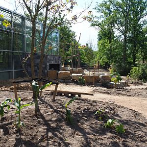 Orangutan project construction, Members preview - Future entrance area, 2022-05-28