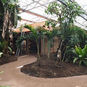 Orangutan project construction, Members preview - Walkway and future viewing area , 2022-05-28