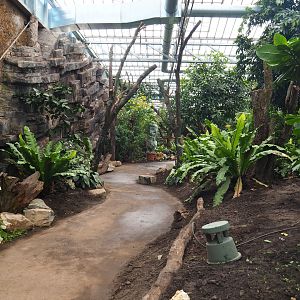 Orangutan project construction, Members preview - Walkway and planted areas at the backside of the greenhouse, 2022-05-28