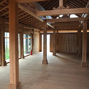 Orangutan project construction, Members preview - Future viewing and visitor area, 2022-05-28