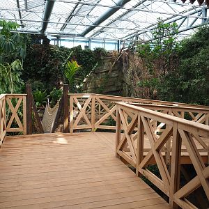 Orangutan project construction, Members preview - Walkways, 2022-05-28