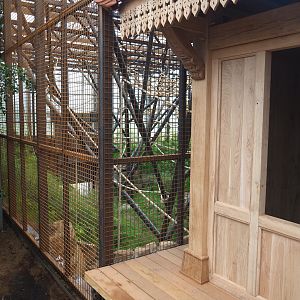 Orangutan project construction, Members preview - Viewing area and first large indoor exhibit, 2022-05-28