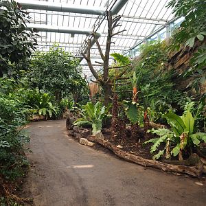 Orangutan project construction, Members preview - Walkway and planted areas at the backside of the greenhouse, 2022-05-28