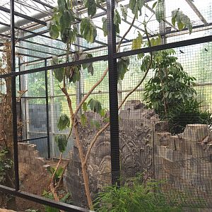 Orangutan project construction, Members preview - New aviary, 2022-05-28