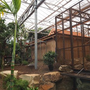 Orangutan project construction, Members preview - Future viewing area and part of second large indoor exhibit, 2022-05-28
