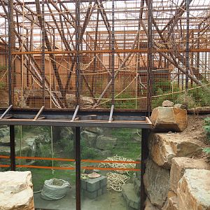 Orangutan project construction, Members preview - Second large indoor exhibit, 2022-05-28