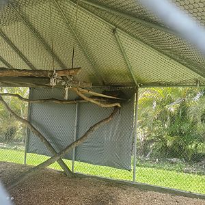 Wellington Conservation Center (2022) - Jasper the Crab-eating Raccoon enclosure