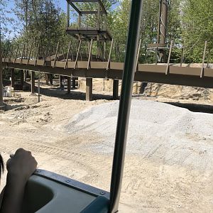 Orangutan Habitat Progression