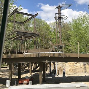 Orangutan Habitat Progression