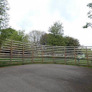 Sable antelope viewing area