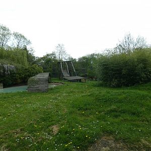 Sumatran tiger enclosure