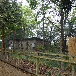 Squirrel monkey enclosure