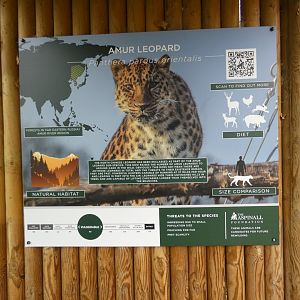 North Chinese leopard signage