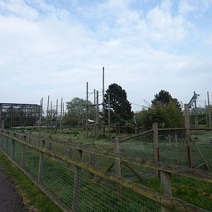 Black-and-white colobus and Gelada enclosure