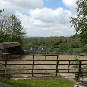 Southern white rhino enclosure
